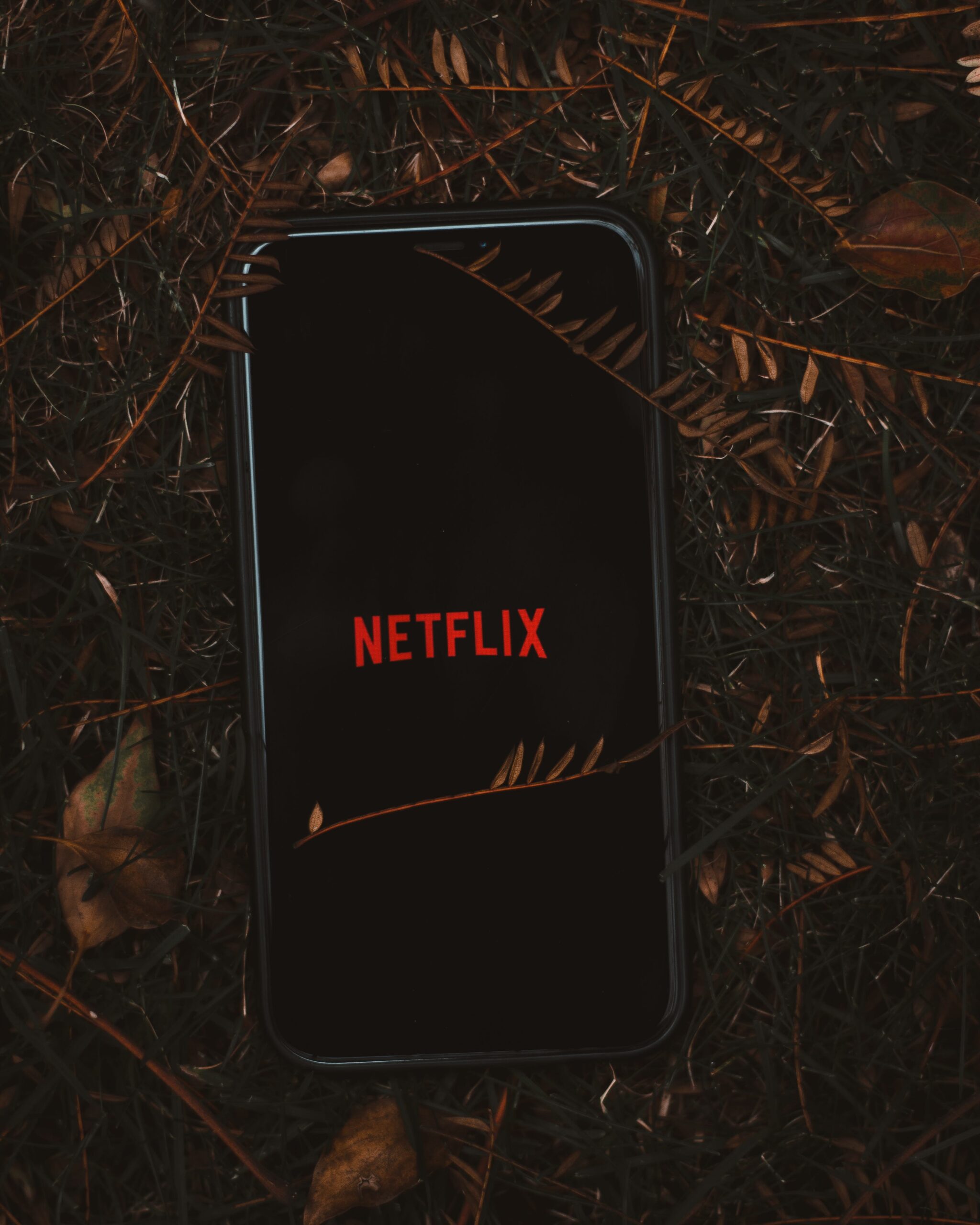 Blogging Season 1 of Lilyhammer by Netflix