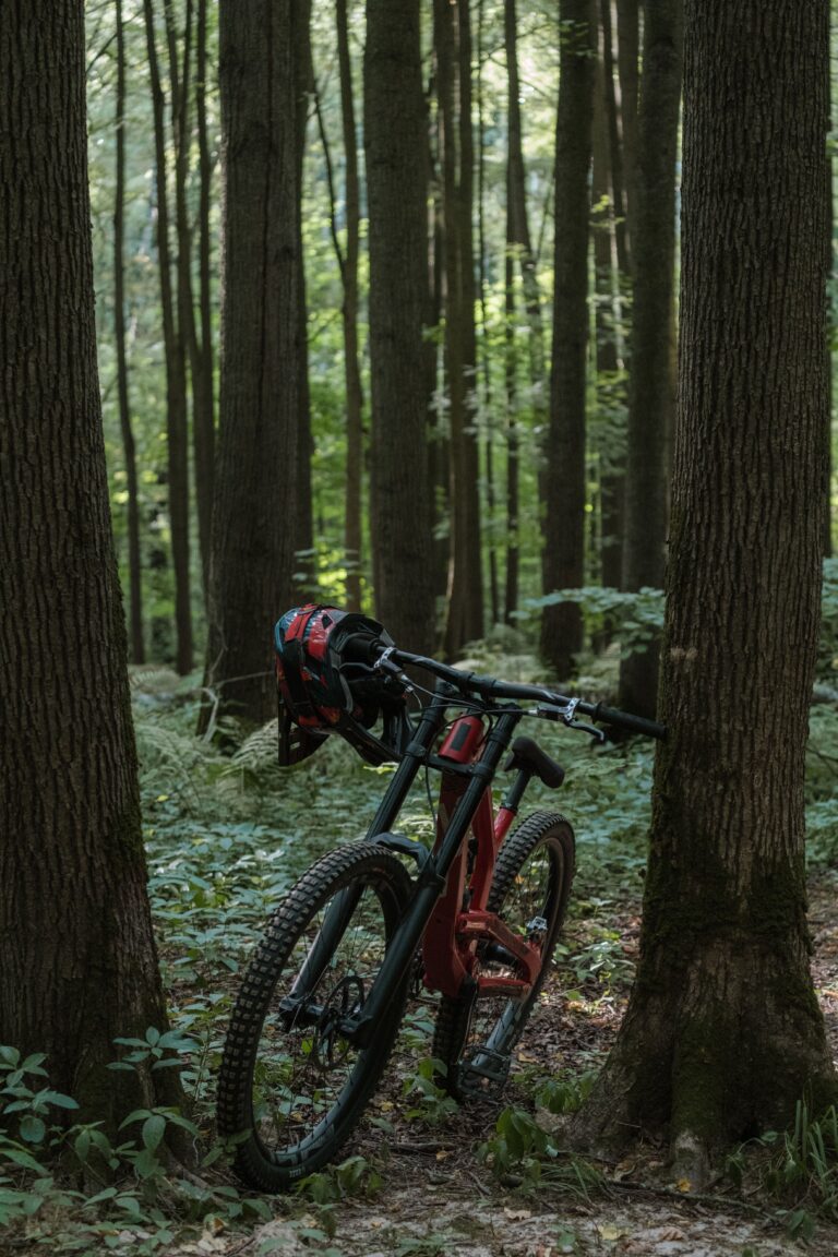 Three Styles of BMX Bikes and their Uses