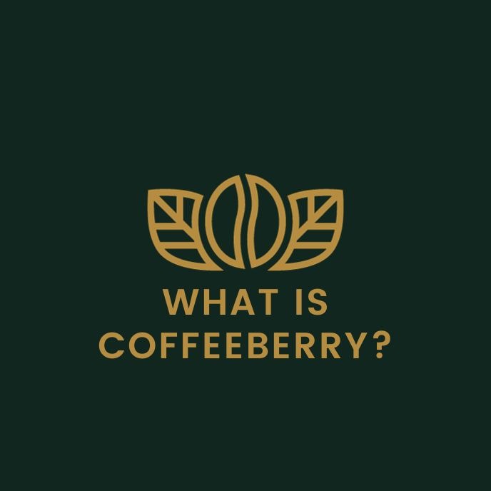 What is Coffeeberry?