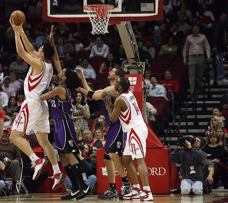 Brief History of the NBA