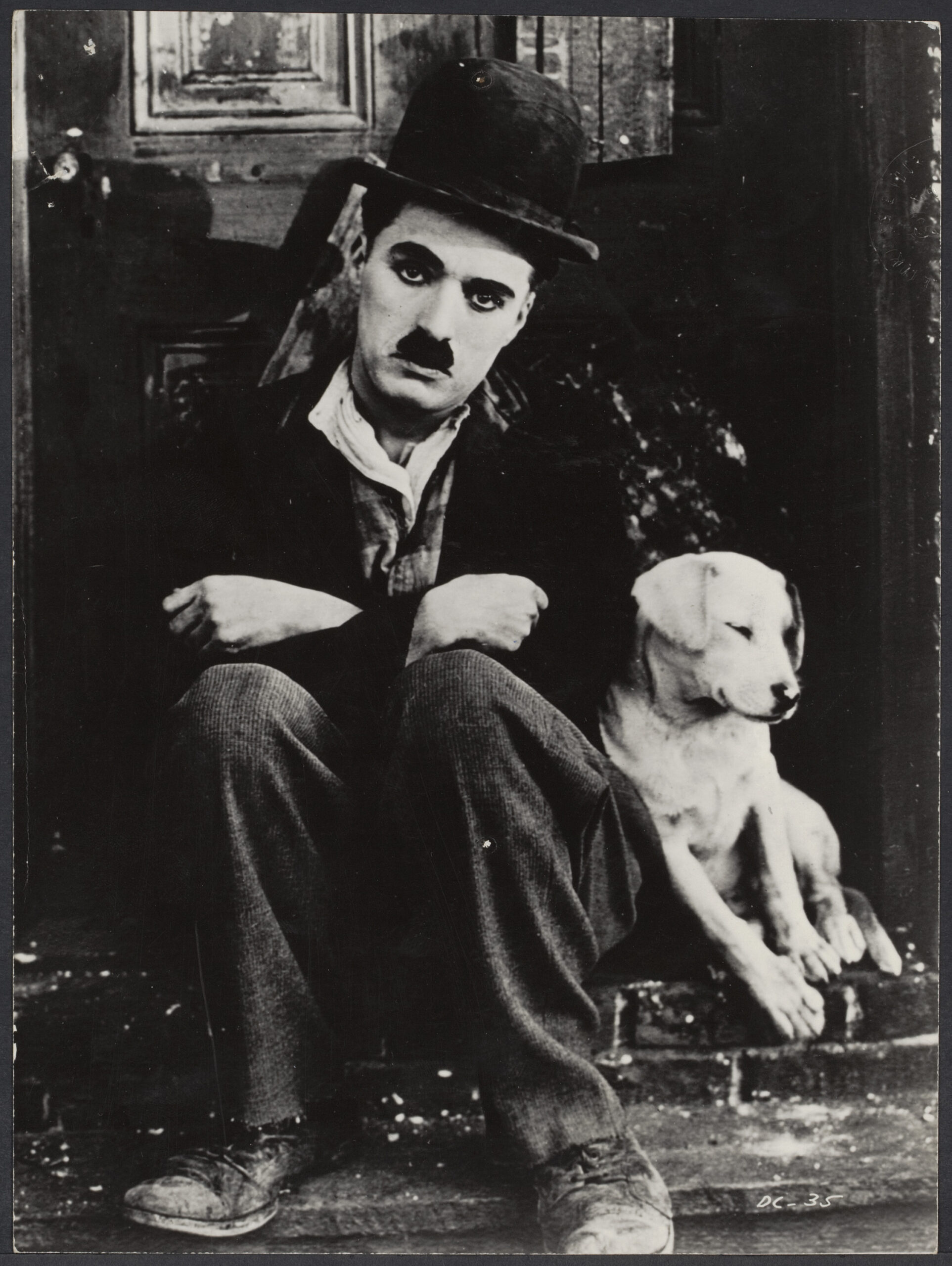 Chaplin A Dogs Life