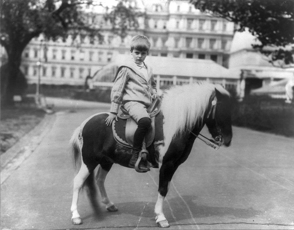 Archie Roosevelt with his pony, Algonquin on the White House Lawn in 1902
