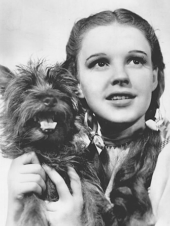 25 Fun Facts About Judy Garland – A Guest Blog Post by Jay Scarfone and William Stillman