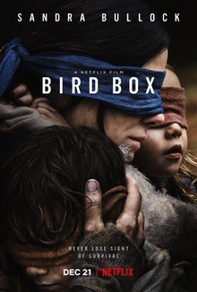 poster for the film Bird Box 