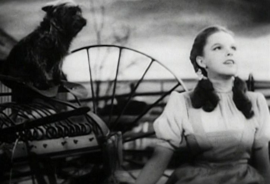Wizard of Oz Fans Share Their Memories of Oz