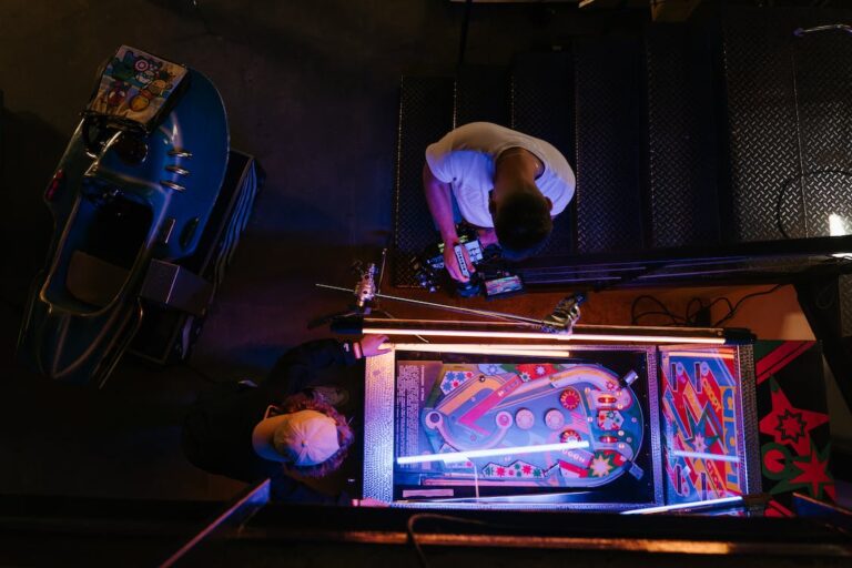 Wizard of Oz Pinball Machine