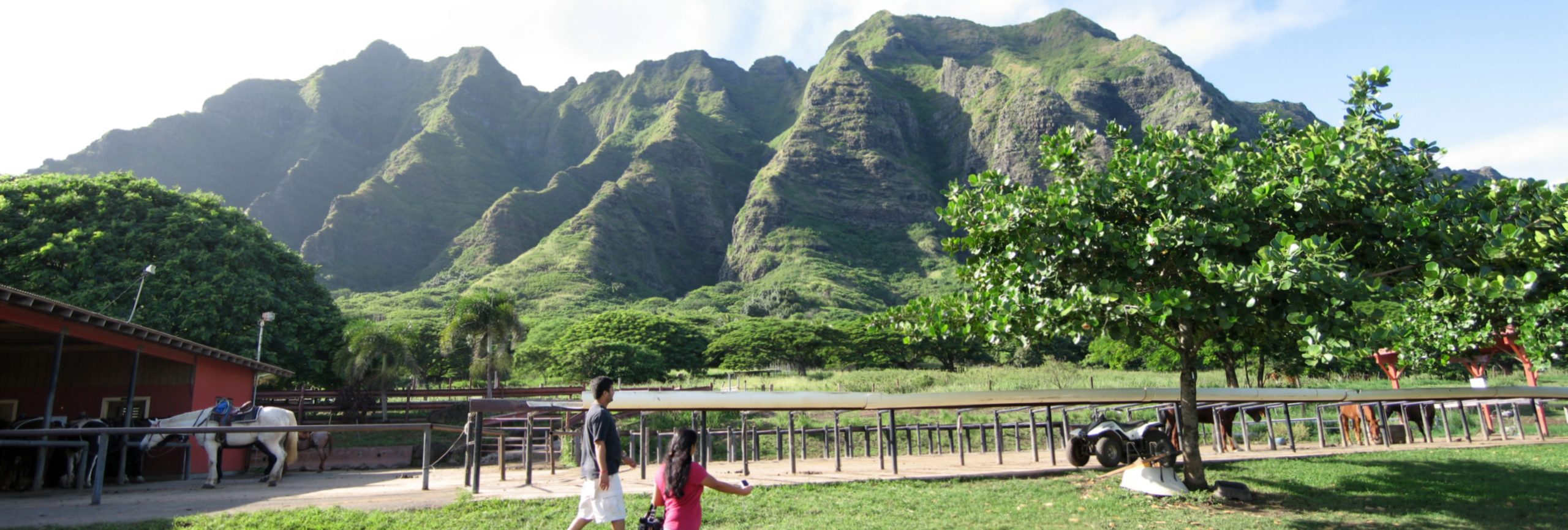 the view of Kualoa Ranch Near the visitor center 