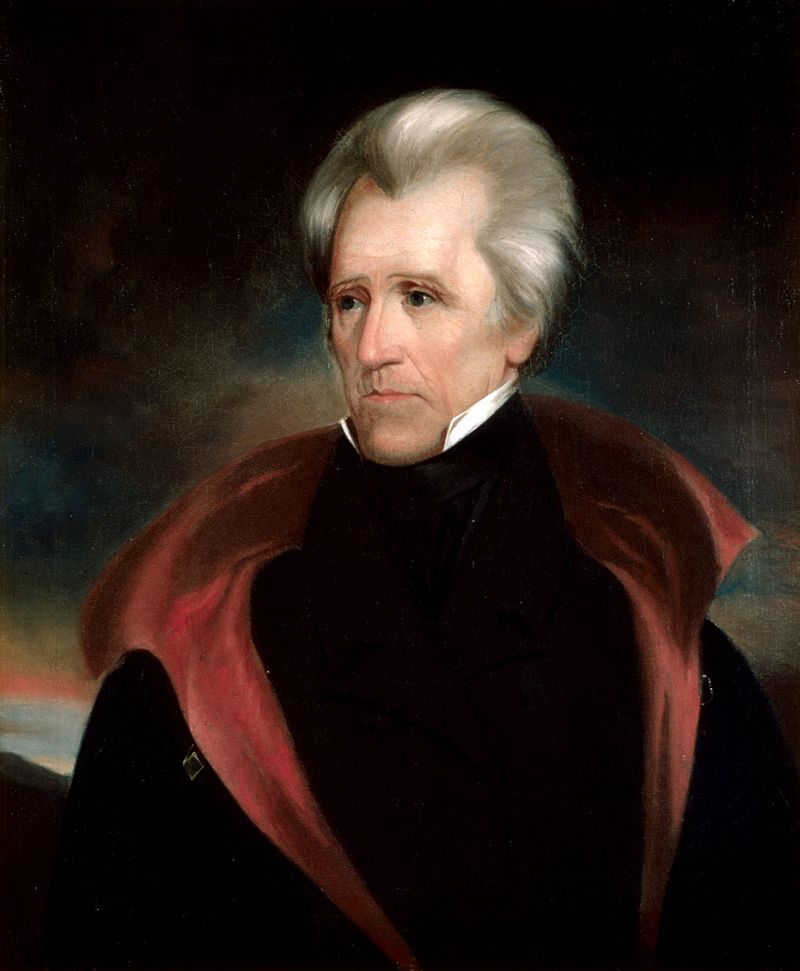 Brief Biography of Andrew Jackson