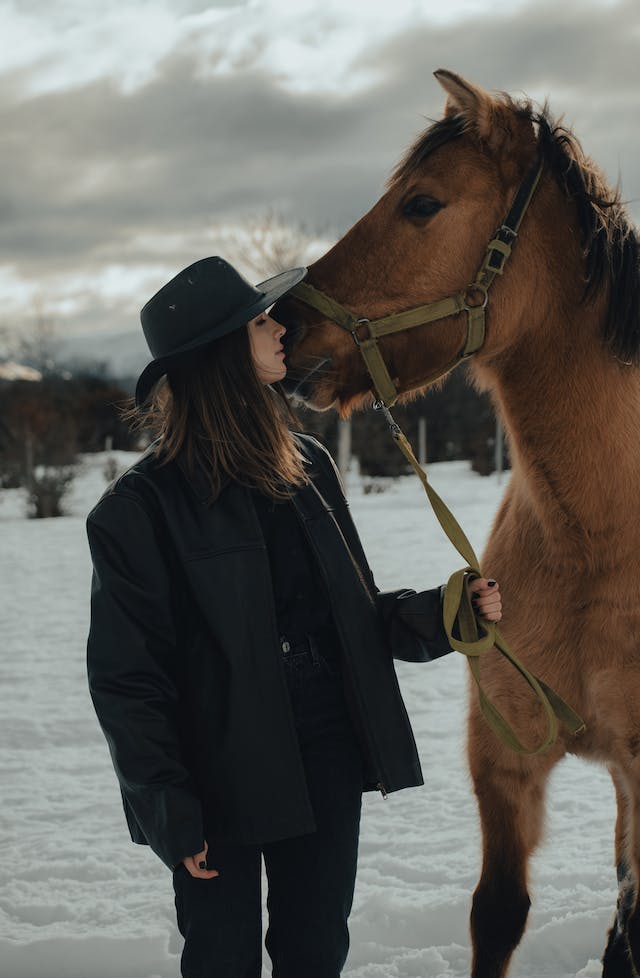 Benefits Of CBD Oil For Horses And Humans