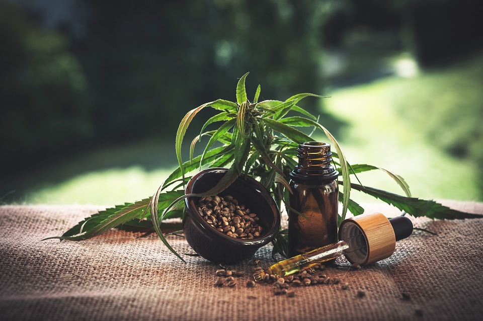 The Major Differences Between CBD and THC