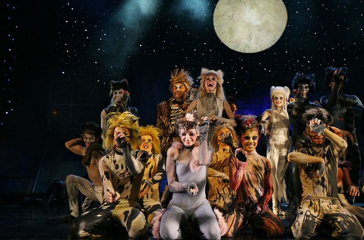 The cast of Cats on stage