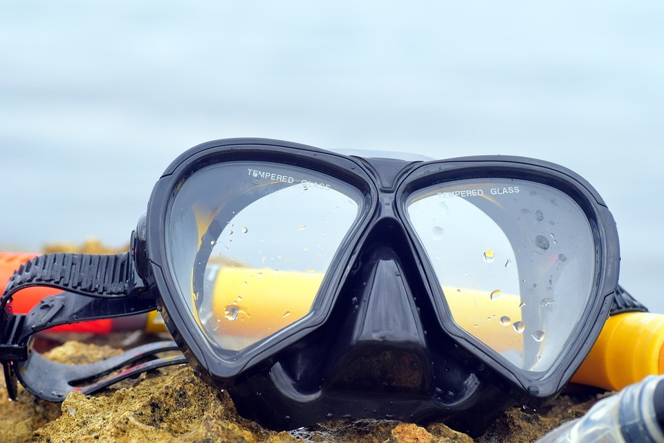 What to Look for in a Dive Mask
