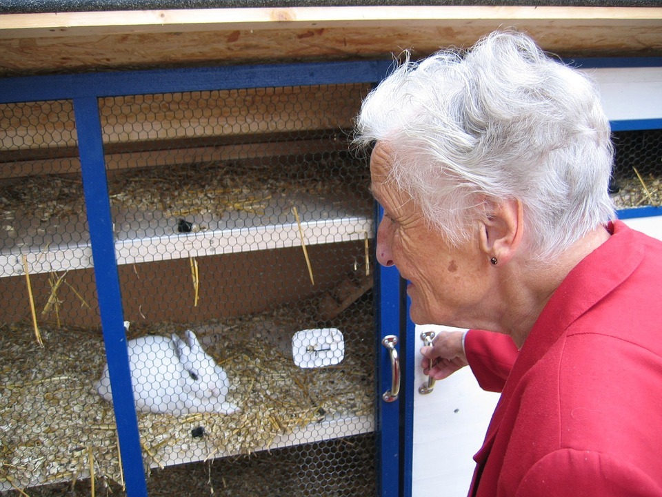 8 Tips on Building a Rabbit Hutch