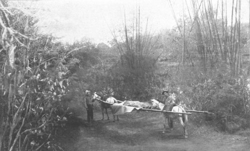 Americans conveying their dead from the battlefield. [Photo was taken in 1899, somewhere in Central Luzon]
