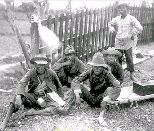 Chinese porters employed by the US Army in its Central Luzon campaign