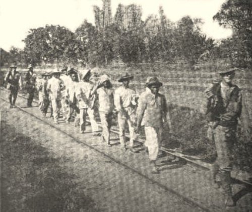 Filipino prisoners being brought into the American encampment, March 1899.