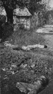 1899 Feb 23 fallen filipinos on Tondo st