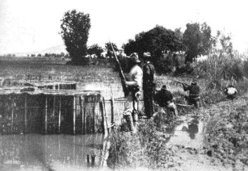 1899 Sept 29 24th inf attacked near Mexico Pampanga