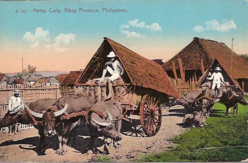 Albay Province hemp carts early 1900s