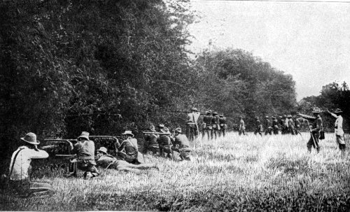 American troops clearing a thicket