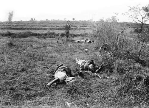 Filipino dead at Guadalupe March 13 1899