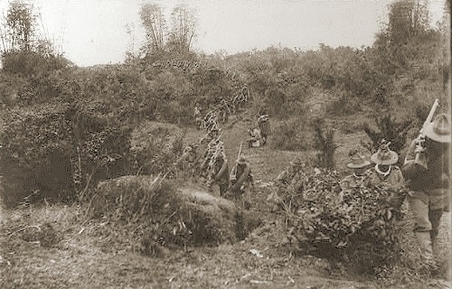 US troops moving in the bamboo 1899