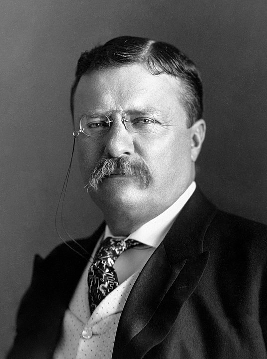 What Famous Places and Things are Named after Theodore Roosevelt?