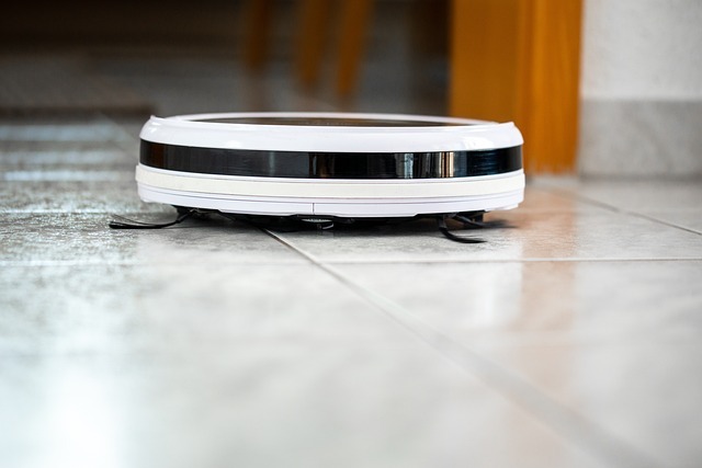 Can a Robotic Vacuum Replace your Upright?