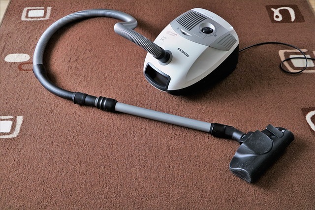 How to Choose the Perfect Cordless Vacuum Cleaner for Your Home
