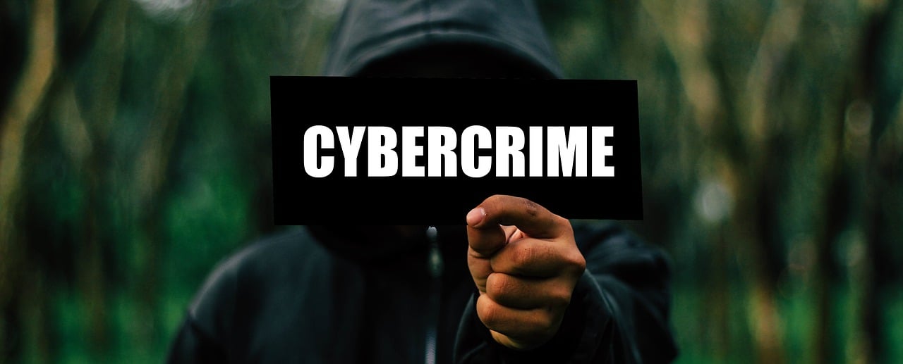 The Scope and the Nature of Cybercrimes in Modern-Day