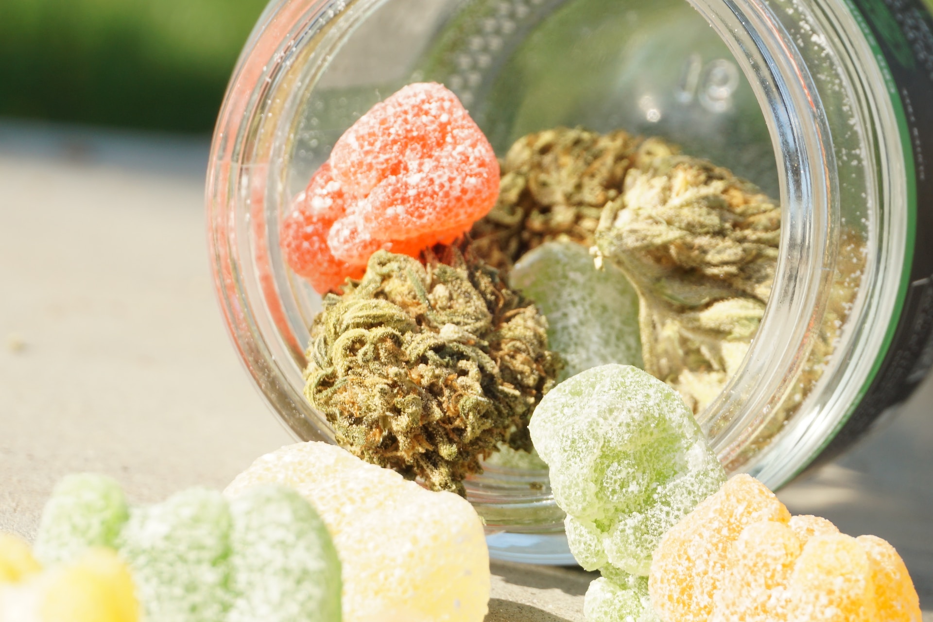 5 Factors to Consider When Buying the Best CBD Edibles