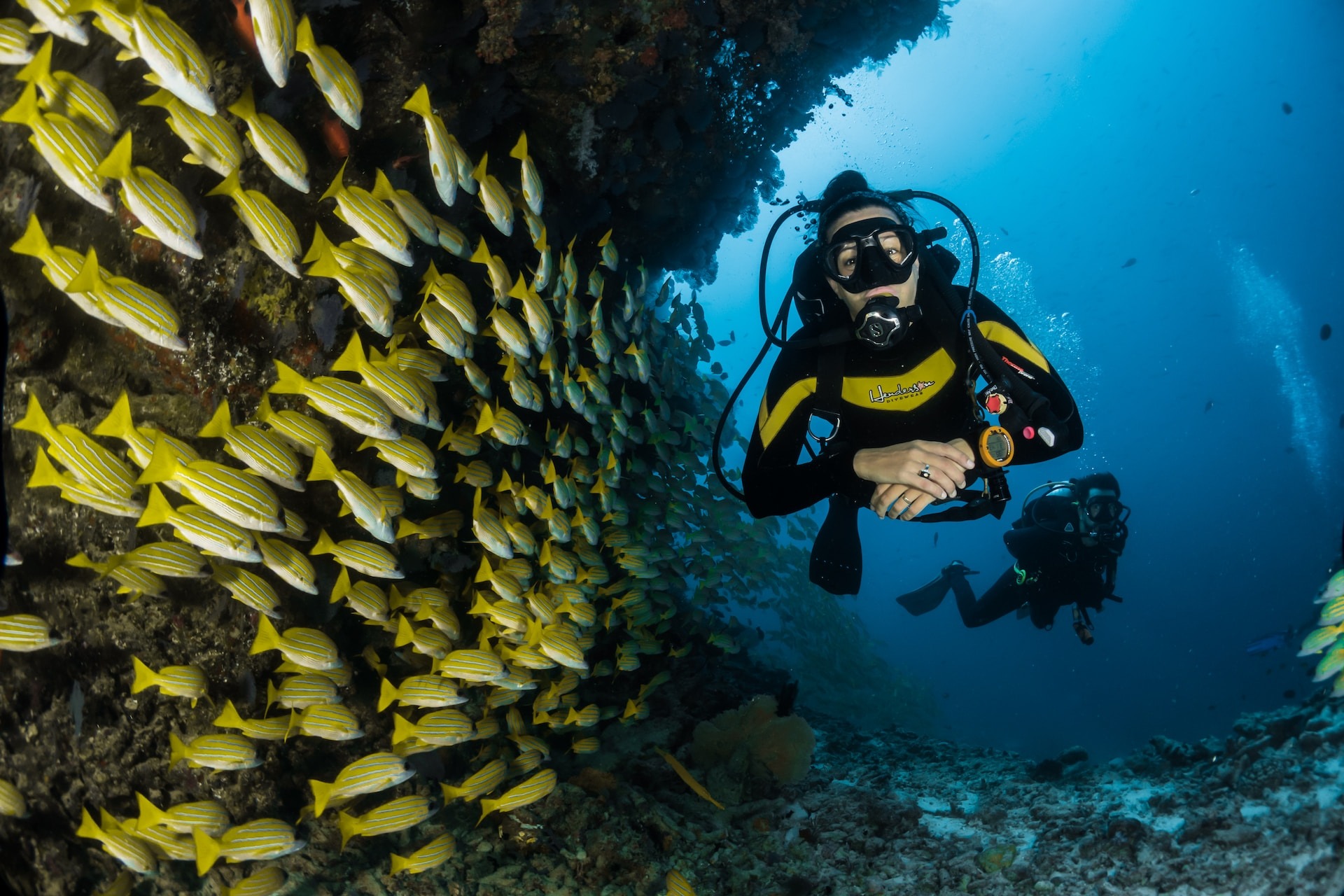 Simple reasons why you should go scuba diving with your significant other