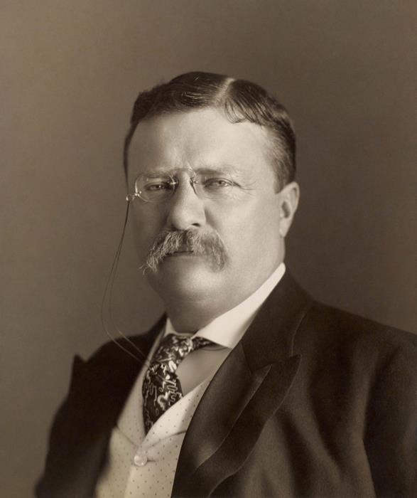 Theodore Roosevelt by the Pach Bros, 1904