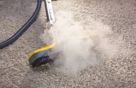 4 things to look for in your Newcastle carpet cleaning services