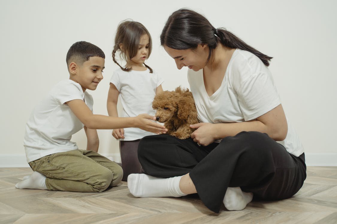 Storage Tips for Families With Children & Pets