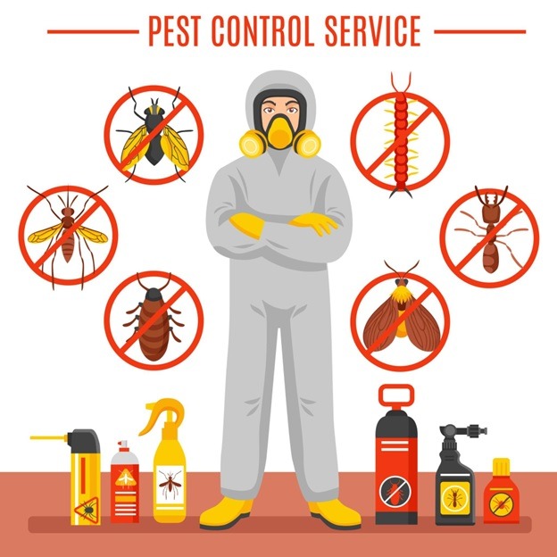 Best Home pest control services in Ontario