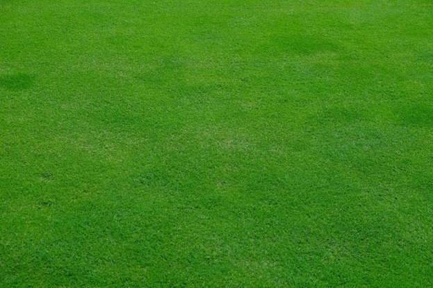 Your Guide to Artificial Grass Recyclers