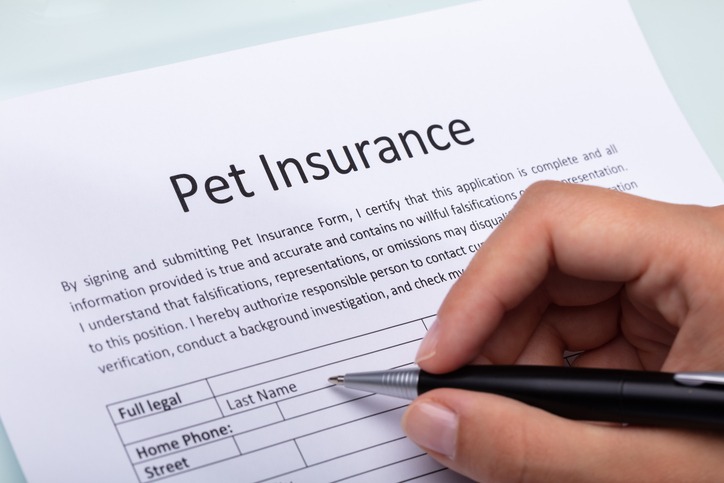 The benefits of getting pet insurance for a puppy