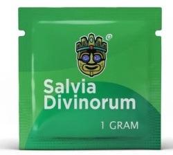 Understanding Salvia divinorum