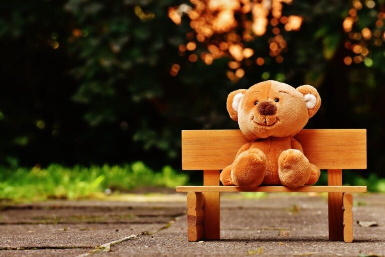 How Is Teddy Bear Related to Theodore Roosevelt