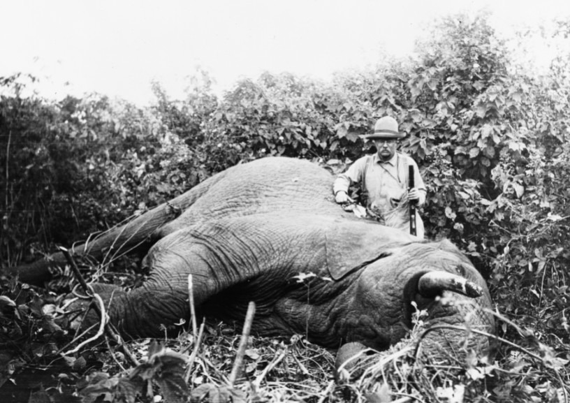 Theodore Roosevelt and the elephant he shot in the safari