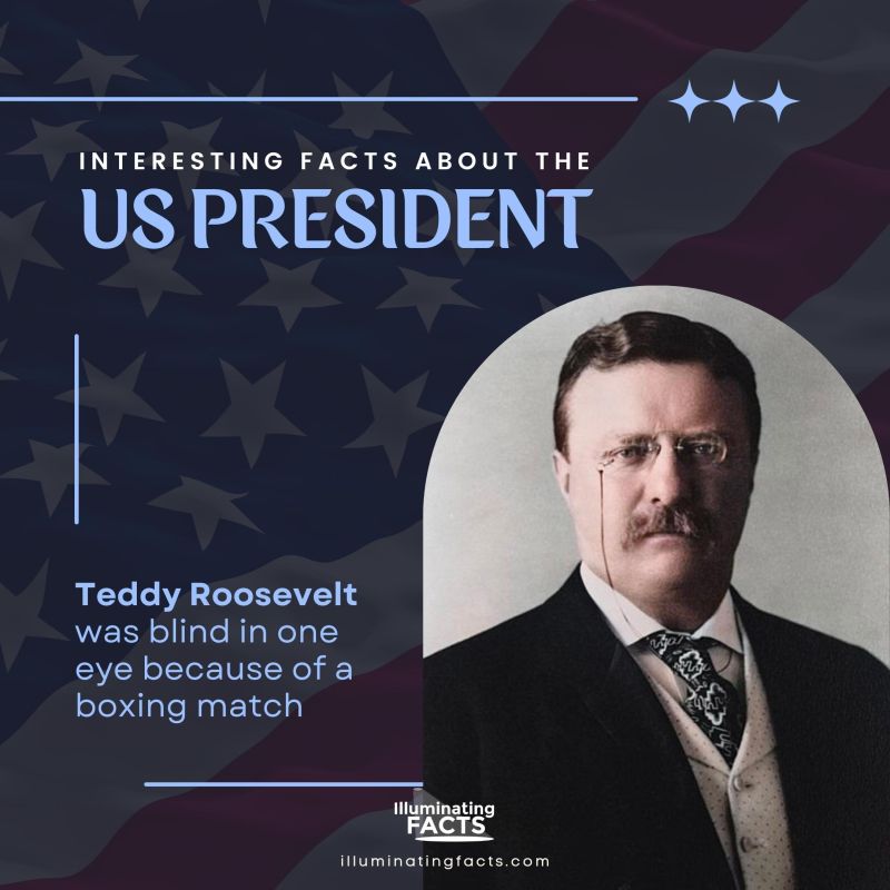 Teddy Roosevelt was blind in one eye because of a boxing match