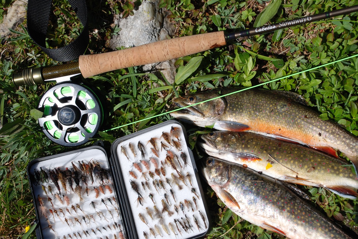 Color Image, Fish, Fishing, Fishing Reel, Fly-Fishing, Horizontal, Outdoors, River, Speckled Trout, Trout, USA, Water