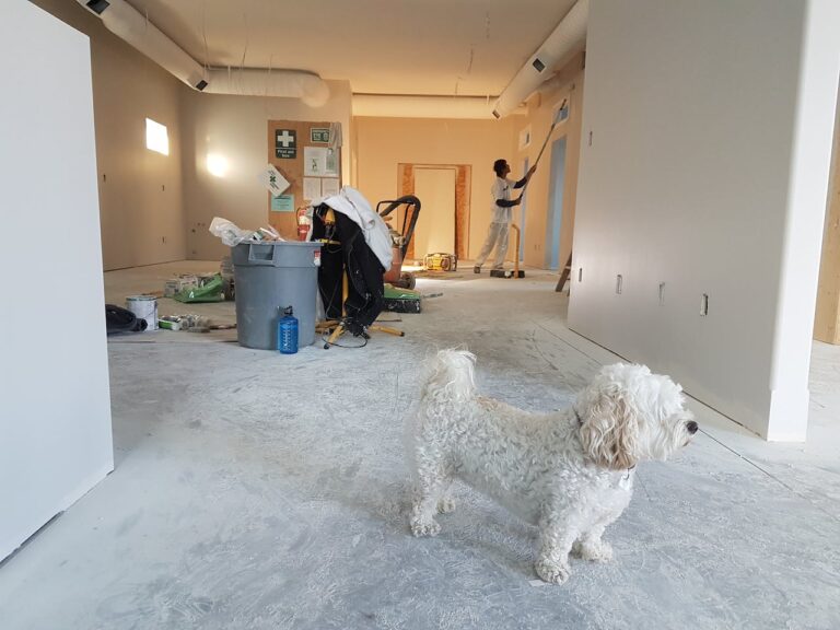 Anticipations from Custom Remodeling Services