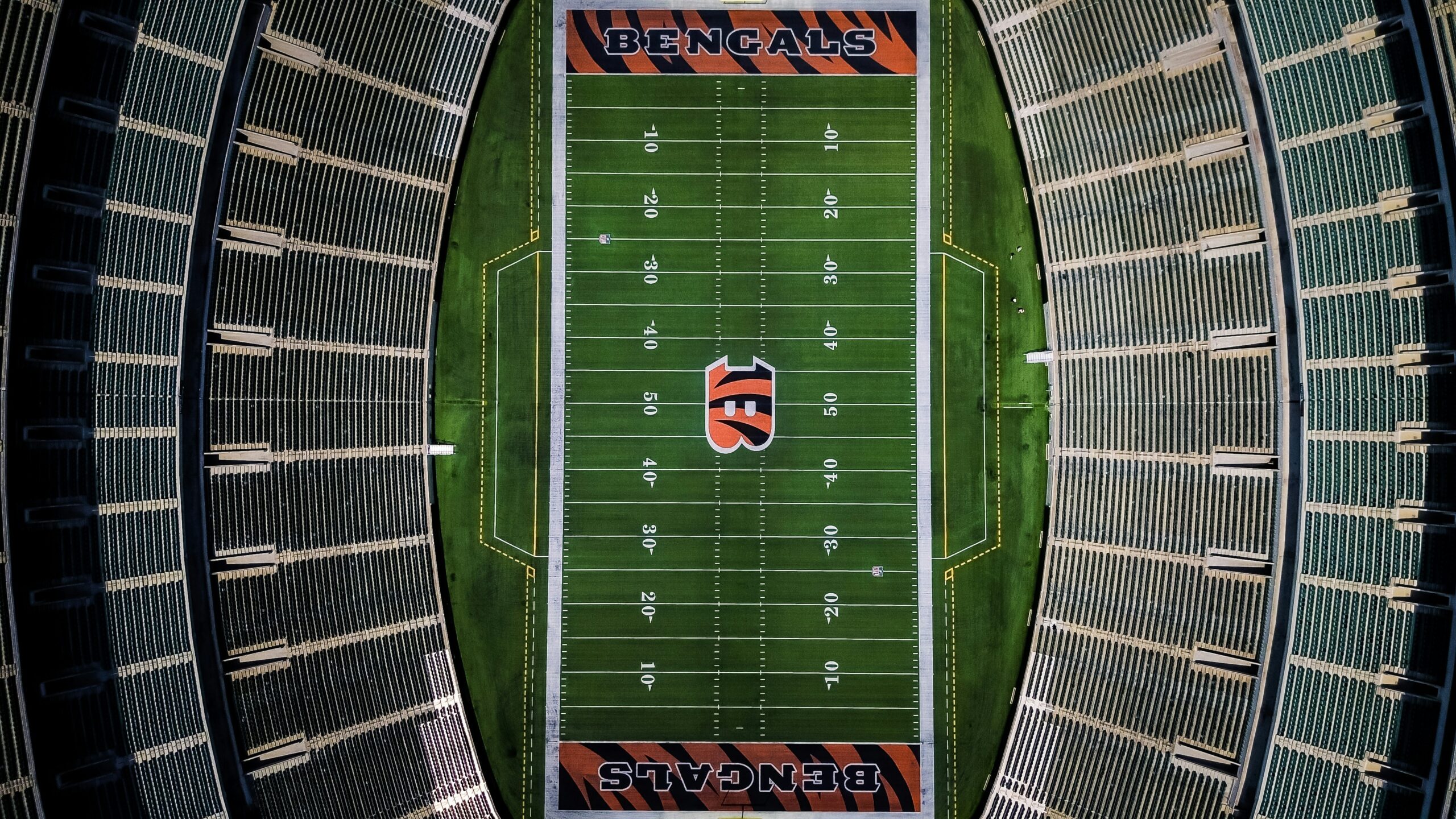 The Rise of the Cincinnati Bengals A Journey to NFL Prominence