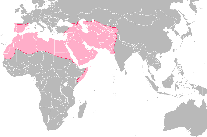 Umayyad Caliphate map