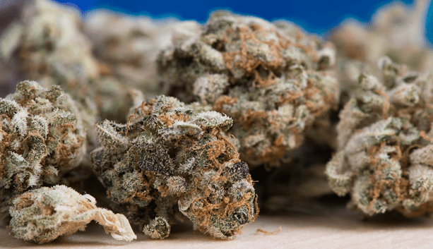 Langley Weed Delivery Get Same Day Service, Fast!
