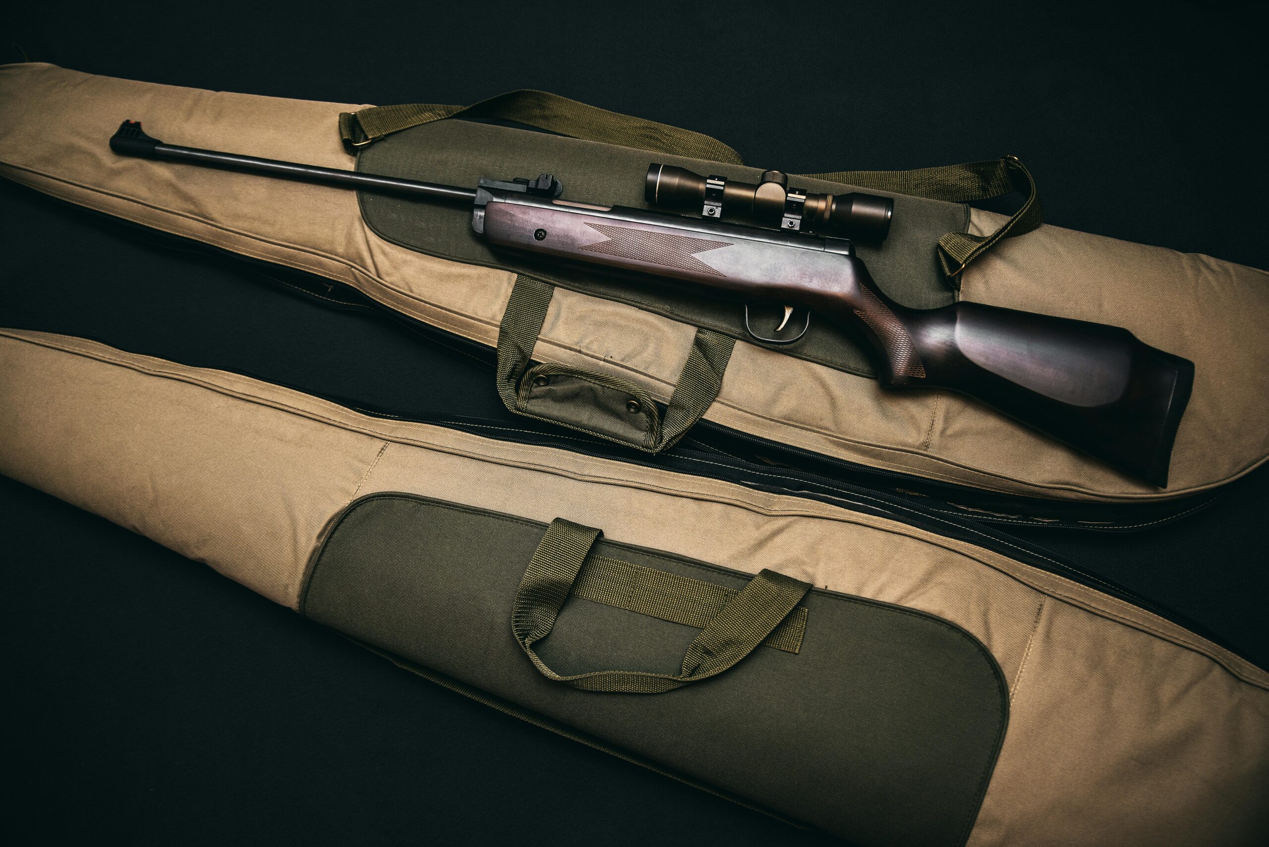 The Transformative Journey of the Armalite Rifle Platform From Inception to Modern Day