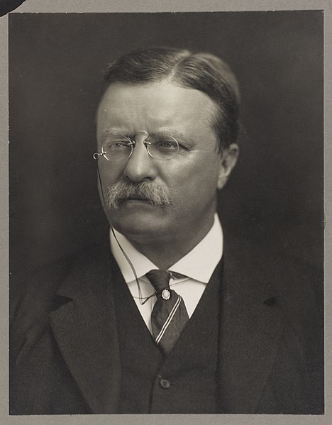 Theodore Roosevelt