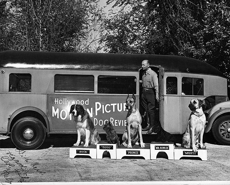 Carl Spitz with Terry and other trained dogs